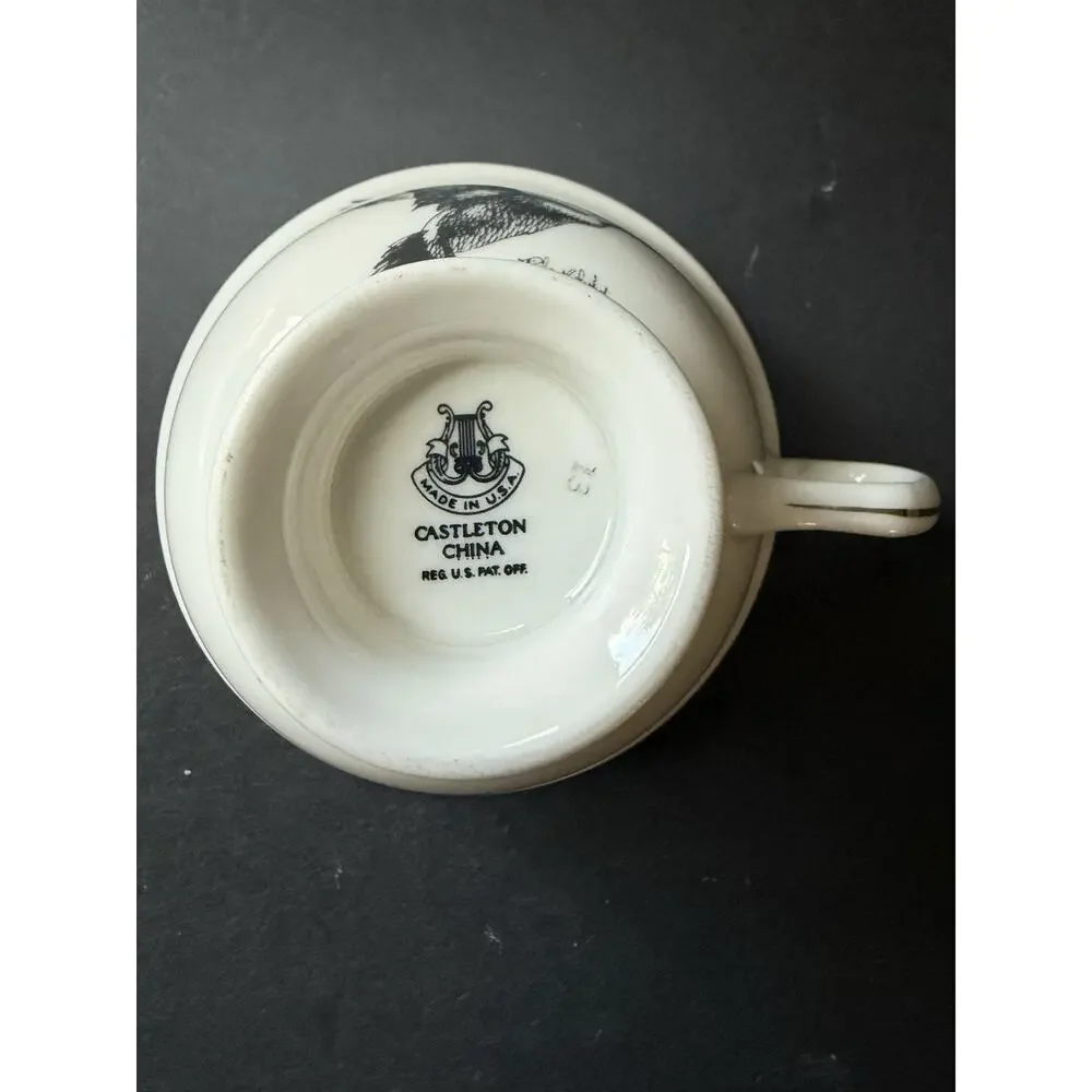 Wild Game Birds By Castleton China Cup And Saucer Set Pintail Duck Made In USA